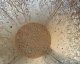 Foto del paso 2 de la receta: Galletitas con pasas de uva 🍇 para bebés BLW (+6m)