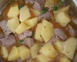 A picture of step 6 of Turkey Stew 🦃.