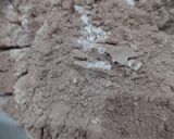 Foto langkah ke 2 dari resep Brownies Panggang Putih Telur.