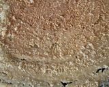 A picture of step 9 of Dosa Khakhra.