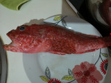 Guiso de cabracho