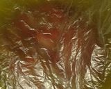 Foto del paso 6 de la receta: Milanesas Cuadrada