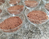 Foto del paso 2 de la receta: Mousse de champagne con frutos rojos