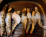 Foto langkah ke 6 dari resep Nasi Rempah Merah Putih Udang Bakar Jimbaran.