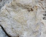 Foto del paso 2 de la receta: Empanadas caseras fáciles