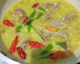 Foto langkah ke 4 dari resep Opor ayam.