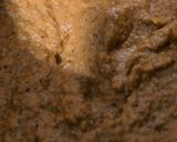 A picture of step 2 of Kerala Sambar.