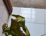 Foto langkah ke 1 dari resep Rendang Daging Sapi.