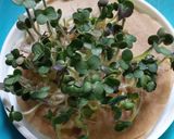 Foto del paso 6 de la receta: Brotes de mostaza: un jardín en mi cocina