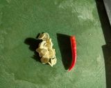 櫛瓜鮪魚檸檬意大利麵的食譜步驟1照片