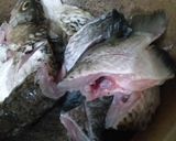 Foto langkah ke 1 dari resep Pindang Ikan Kakap.