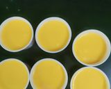 A picture of step 6 of Muskmelon popsicle.