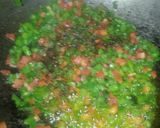 चिल्ली पनीर सीज़्ज़लेर (chilli paneer sizzler recipe in Hindi) रेसिपी चरण 2 फोटो