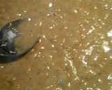 A picture of step 15 of Buttermilk Chicken Fried Steak.