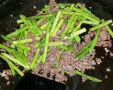 Foto langkah ke 3 dari resep Oseng Daging Giling Asparagus.