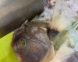 Foto langkah ke 2 dari resep Tumis Ikan Asin dan Pete.