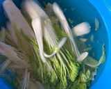 Foto langkah ke 5 dari resep Kimchi mudah.