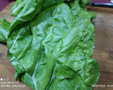 Foto del paso 3 de la receta: Hojas y tallos de acelgas rellenos