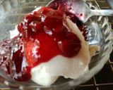 Meggyes kókuszjoghurt fagyi recept fázis 4 fotója