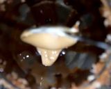 A picture of step 6 of Rich creamy cold coffee🍷🍷🍷😋😋😋.