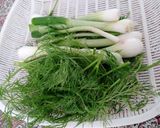 عکس مرحله 4 از دستور فینگر فود سالاد سیب زمینی😋