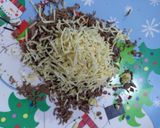 A picture of step 1 of Chocolate walnut cigar.