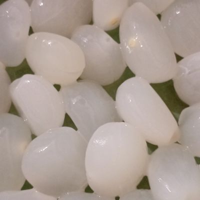 Langkah 1