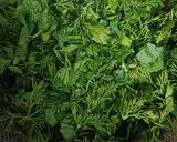 A picture of step 1 of Methi Lauki Thepla.