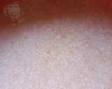 Pas rețetă Piept de pui KFC 3 fotografie