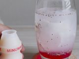 Tropical Coco Ice Yakult