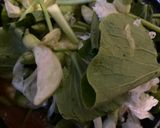 A picture of step 6 of Thai Sour Curry with Mixed Vegetables (Gaeng Som Pak Ruam) – Fridge-Clearing Recipe.
