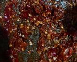 Foto langkah ke 3 dari resep Sambal Tempe.