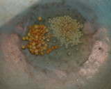 மதுரை ரோட்டுகடை கார சட்னி ரெசிபி ஸ்டேப் 1 புகைப்படம்