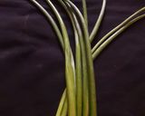 A picture of step 1 of Onion flower stalk fry.