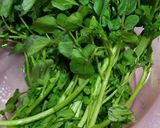 A picture of step 4 of Chinese Watercress Soup 西洋菜湯.