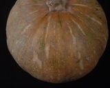 A picture of step 1 of Pumpkin Bread in Pumpkin shape (no oven bread).