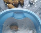 A picture of step 5 of Kabab Lollipops.