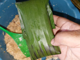 Ketimus Singkong