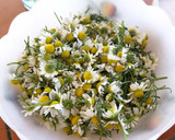 Foto del paso 1 de la receta: Licor de flores de manzanilla bio