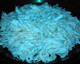 A picture of step 1 of Creamy Chicken with Poblano Peppers (Rajas con Pollo a la Crema).