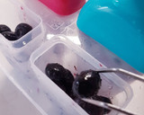 Foto del paso 2 de la receta: Polos ligeros de frutas naturales
