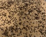 صورة لخطوة 4 من وصفة كيكة الجالكسي المغطاة