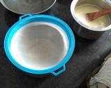Homemade Mozzarella Cheese recipe step 4 photo