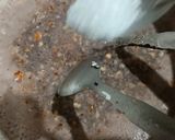 A picture of step 4 of Walnut fudge.