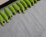 Foto langkah ke 4 dari resep Kue Ulat Ijo 🐛🐛anti gagal.