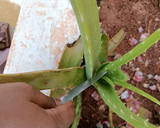 சென்னை பீச் மோர் ரெசிபி ஸ்டேப் 1 புகைப்படம்