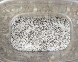 Foto del paso 2 de la receta: 🥥 Chía pudding de frambuesa y coco 🥥