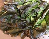 Une image de l'étape 1 de Salade de printemps aux radis cerises et mozzarella di buffala.