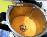 Foto del paso 4 de la receta Sorbete de Mandarina sin Azúcar de Paufeel