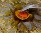 Foto del paso 3 de la receta: Fideuá Mar y Tierra 🌎 🌊